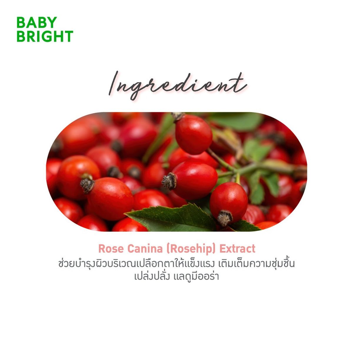 CATHY DOLL - Rosy Rose Eyeliner & Eye Lighter BRIDE PINK