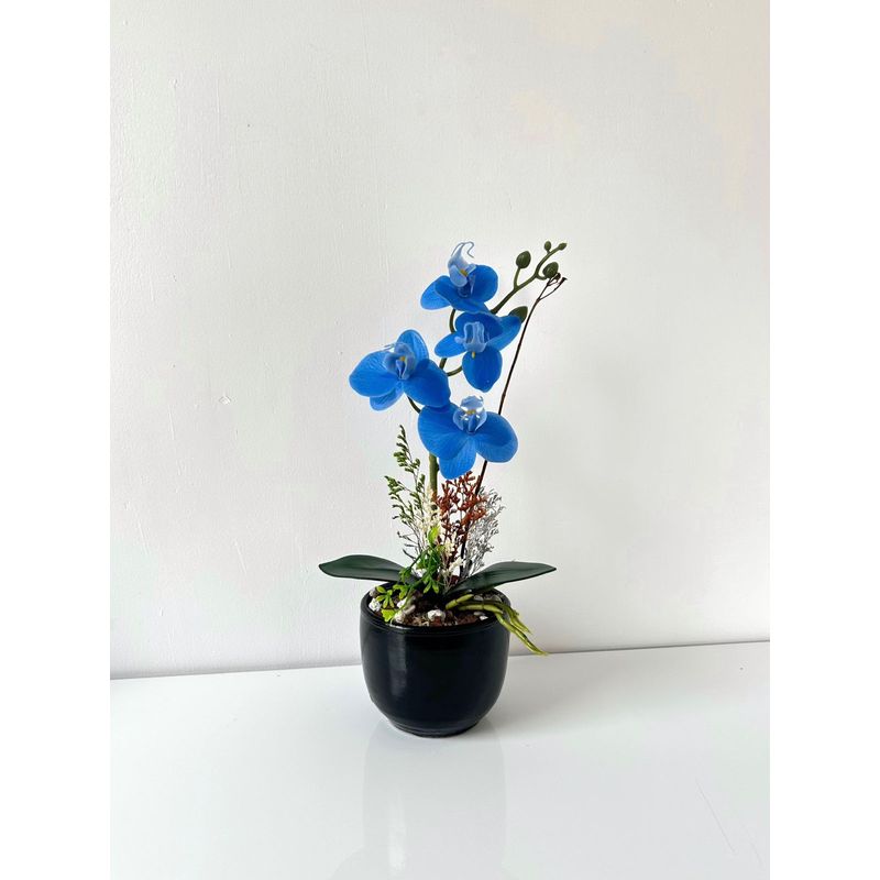 IMPORTADO MC - ORQUIDEA  AZUL BASE NEGRA 33X11