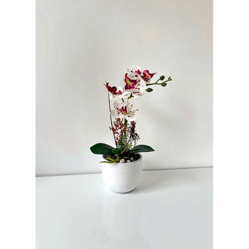 IMPORTADO MC - ORQUIDEA BLANCO CON VINO BASE BLANCA  33X11