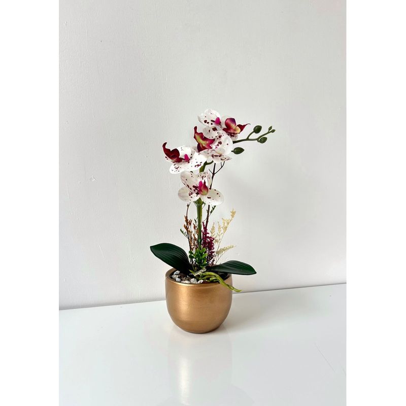 GENERICO - ORQUIDEA  BLANCA CON VINO BASE DORADA 33X11