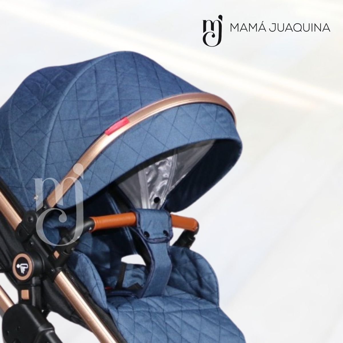 BABY - Coche Moisés Travel System «LIETTI GOLD» Porta Bebé Blue