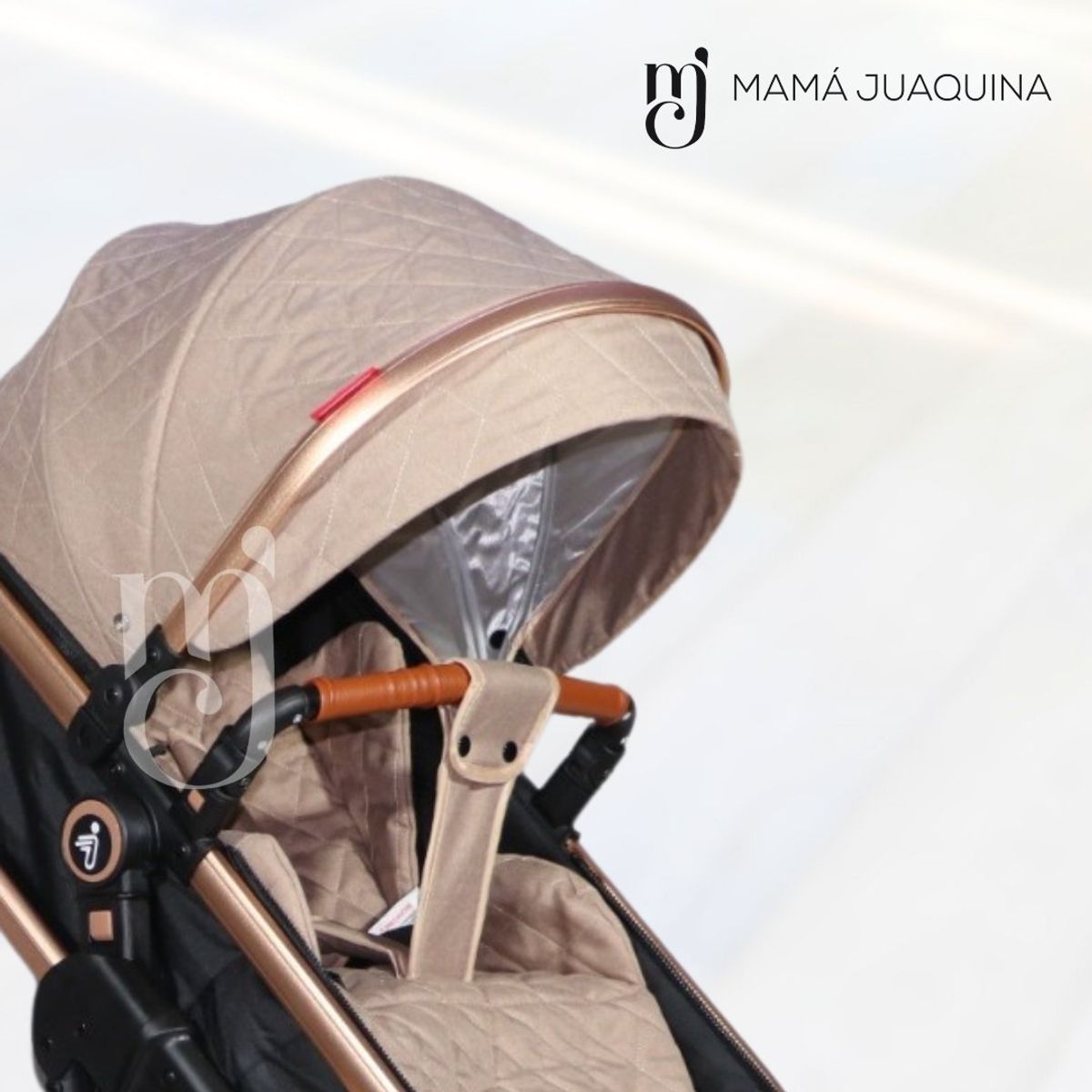 BABY - Coche Moisés Travel System «LIETTI GOLD» Porta Bebé Beige