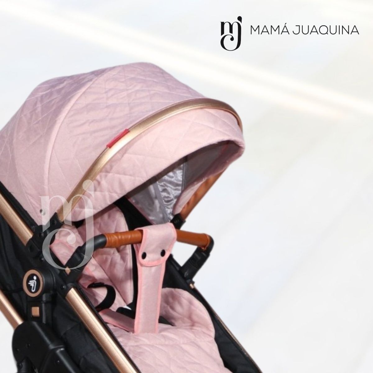 BABY - Coche Moisés Travel System «LIETTI GOLD» Porta Bebé Pink