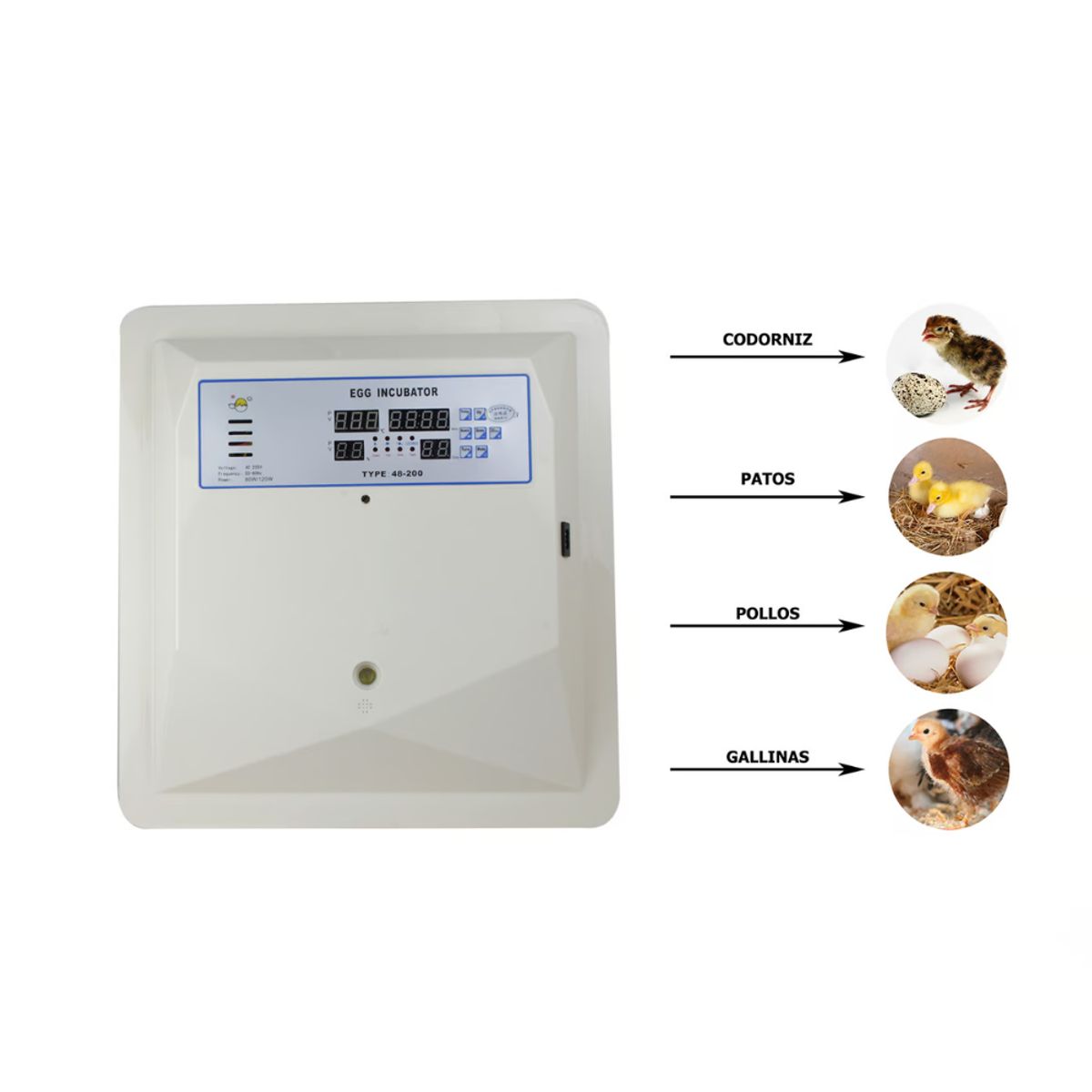 GENERICO - INCUBADORA AUTOMÁTICA 56 HUEVOS 220V