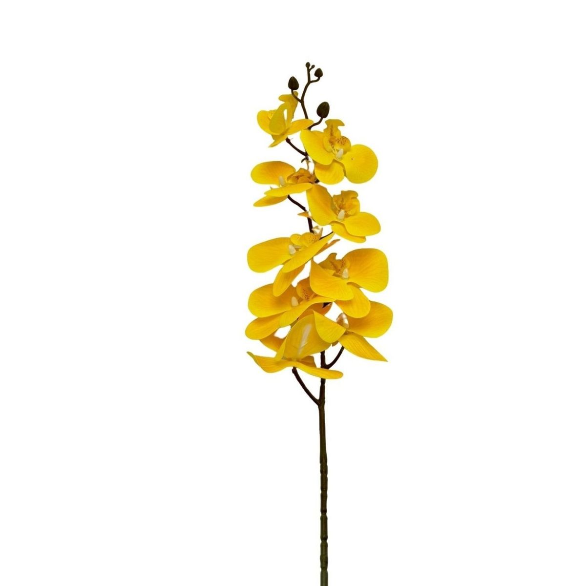 FLORIPA - Orquidea Artificial con 9 Pétalos Silicona BG310035-8AM FLORIPASTORE