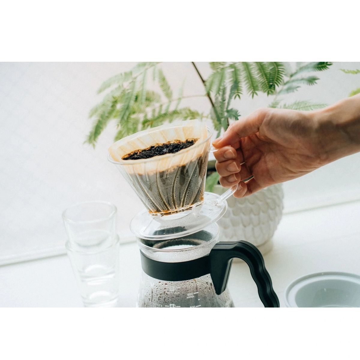 HARIO - Dripper V60 Pegasus de 2-4 tazas