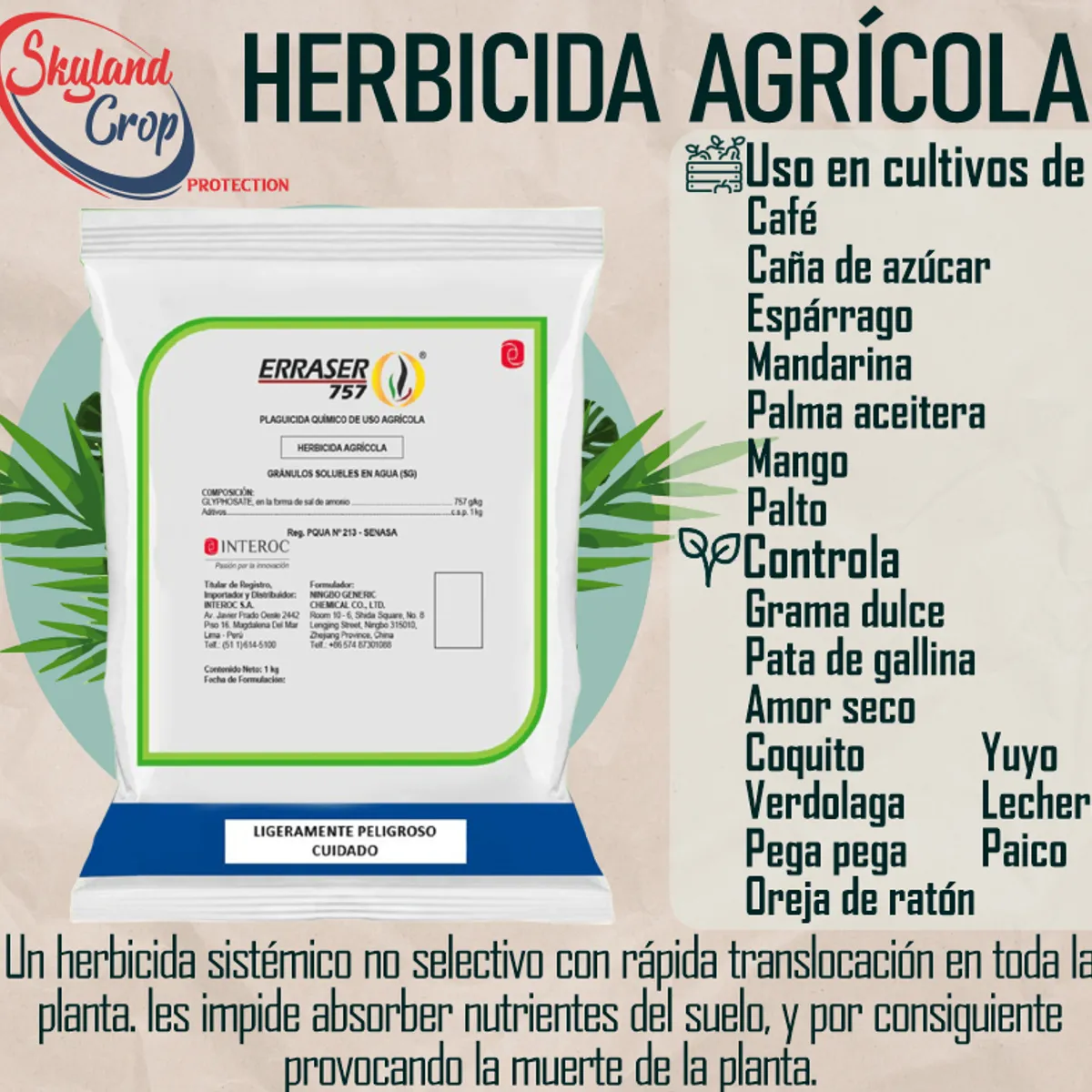 GENERICO - ERRASER 757  1Kg HERBICIDA AGRÍCOLA