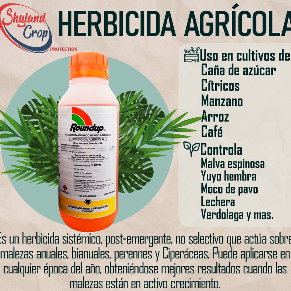 GENERICO - ROUNDUP 480g SL 1L   HERBICIDA AGRÍCOLA
