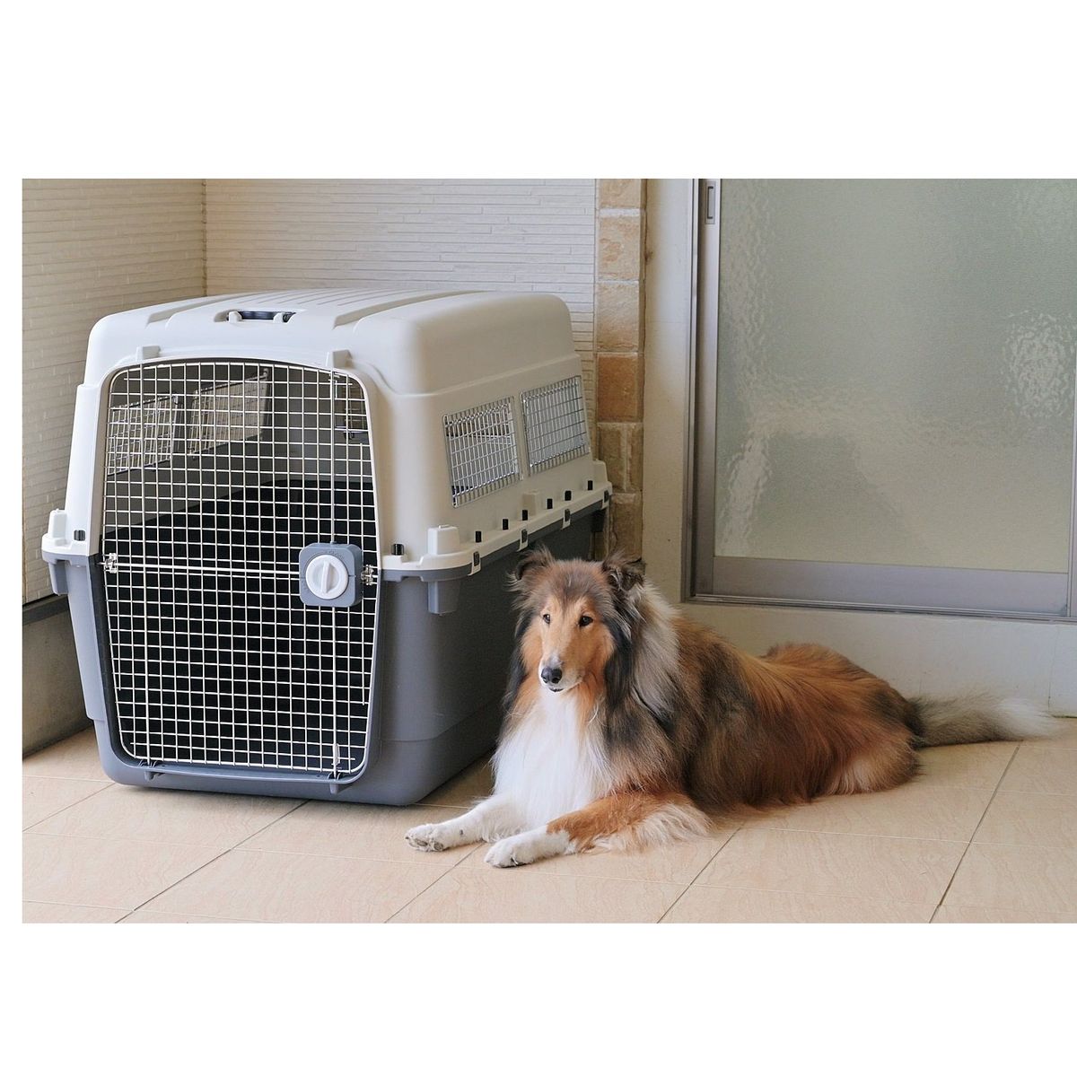 GENERICO - Kennel Aereo L120 Fibra Canil Macotas Grandes XXL