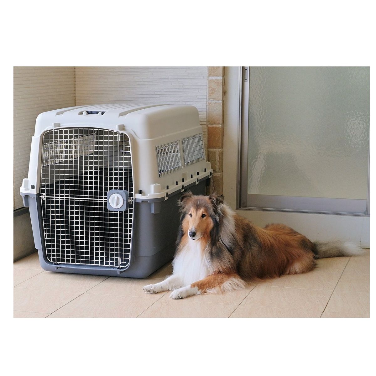 GENERICO - Kennel Aereo L120 Fibra Canil Macotas Grandes XXL