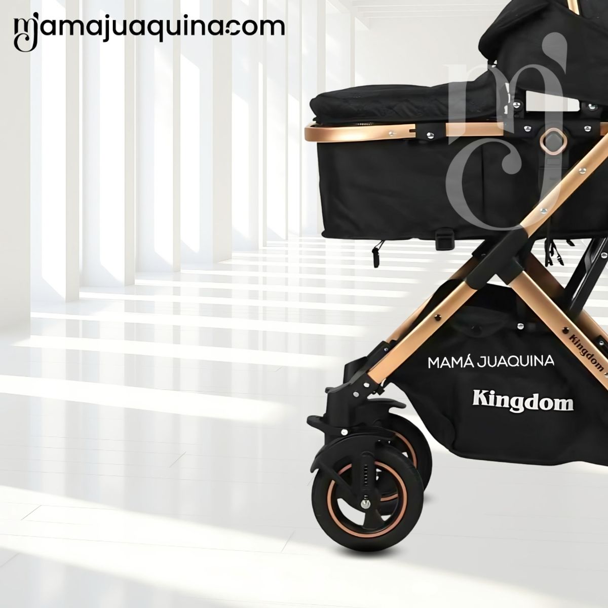 BABY - Coche Moisés «BARBARA» con Bolsa Pañalera Black