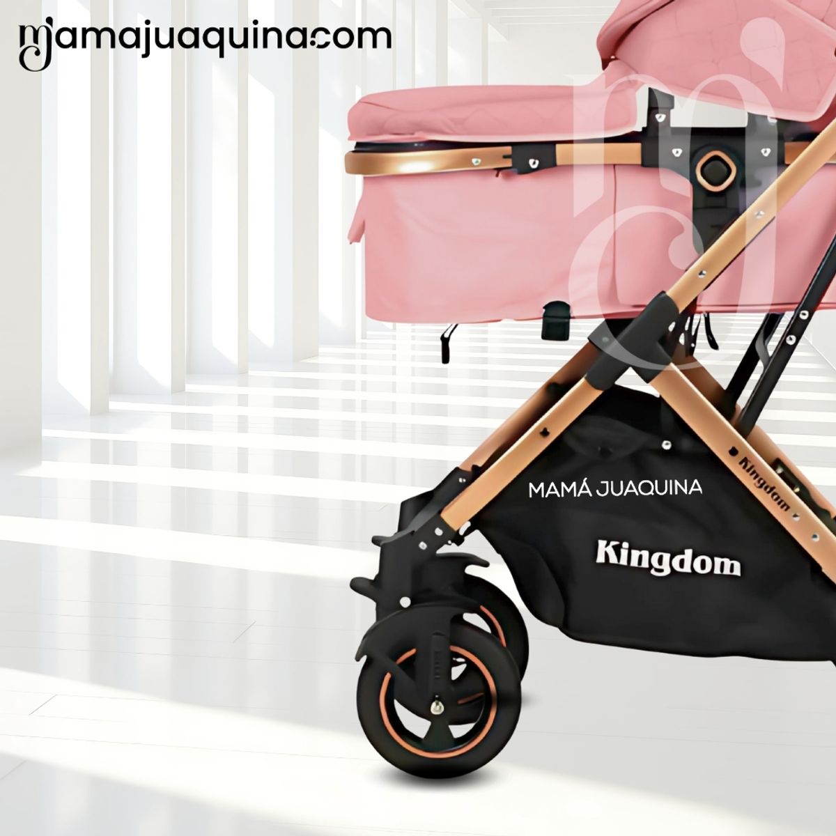 BABY - Coche Moisés Travel System «BARBARA» con Bolsa Pañalera Pink