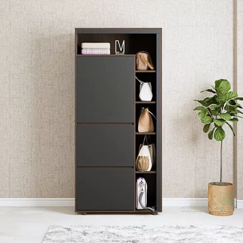 GENERICO - Zapatera Moderna Multiusos Con Estantes Noemí R&R Muebles
