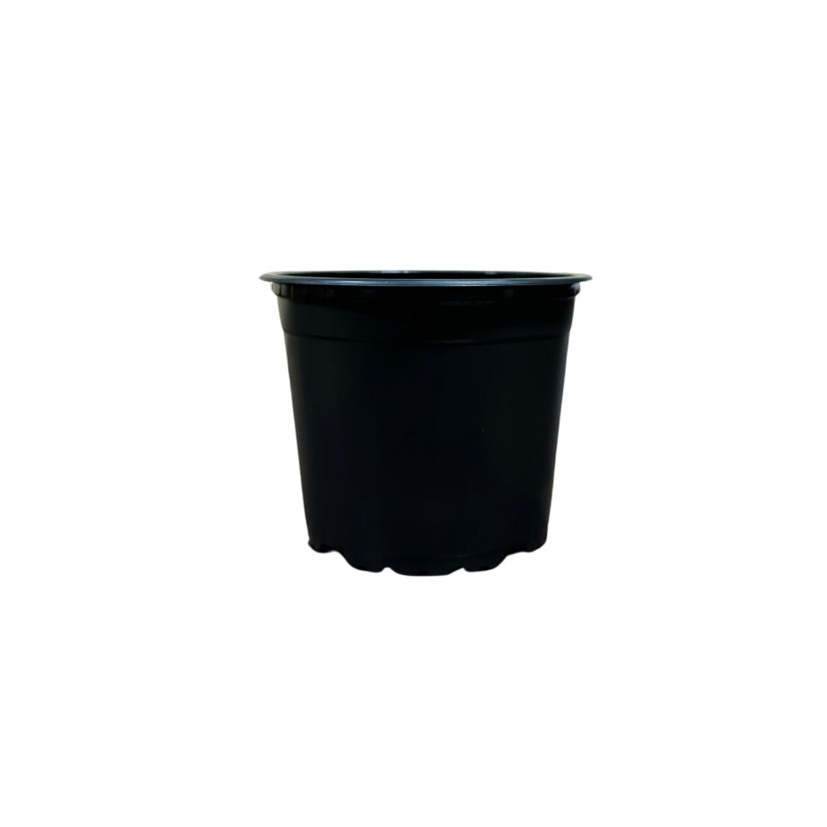 GREEN SUPPLY - Maceta Básica Para Siembra 12