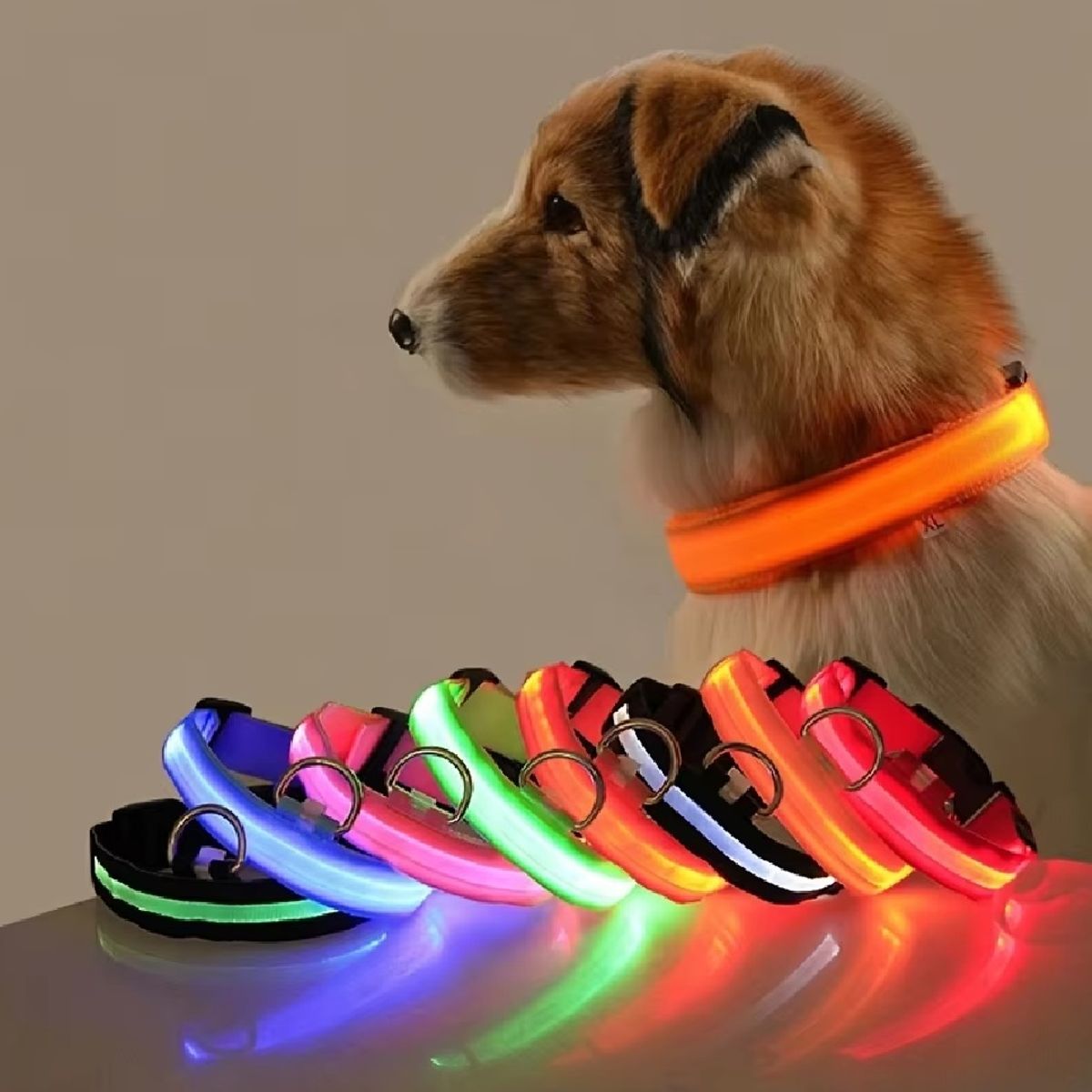 GENERICO - Collar con luz LED Blanca Reflectante Nailon Para Perro