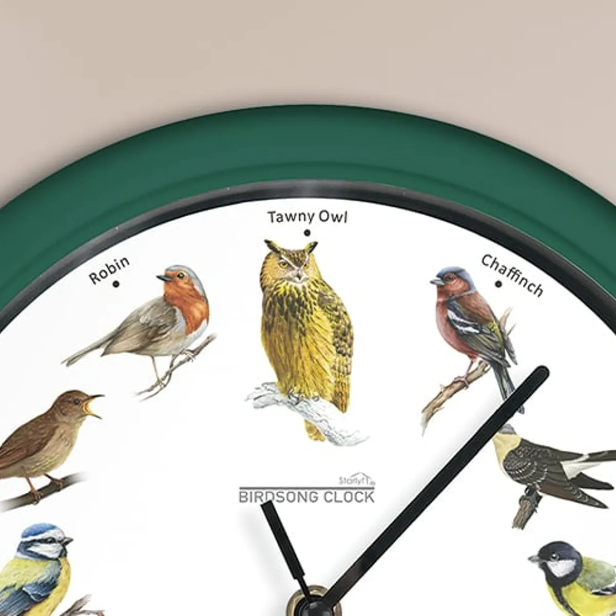 QUALITY PRODUCTS - Reloj de Pared Canto de Pájaros - Starlyf Birdsong