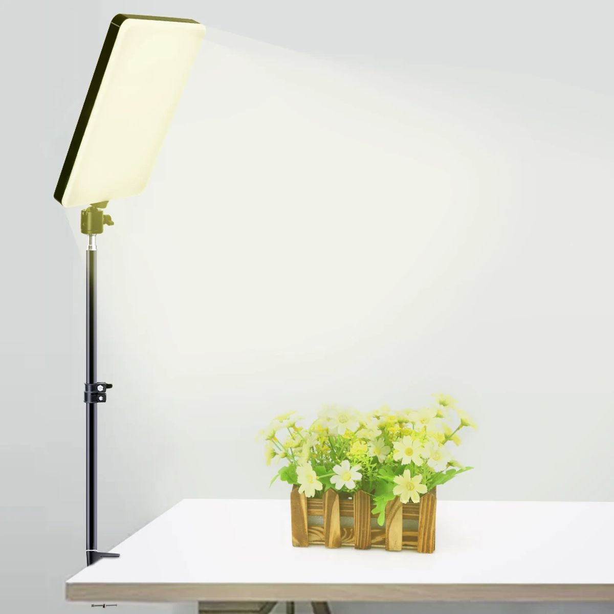 GENERICO - Luz de Relleno Plana LED para Fotografía Profesional + Trípode 2.10 cm