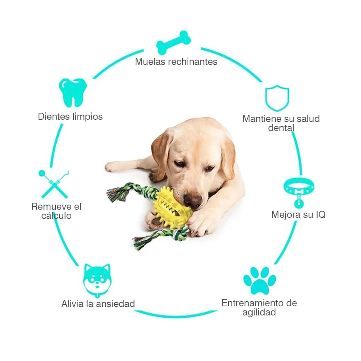GENERICO - Juguete Para Perro Multifuncional Dispensador-masticable