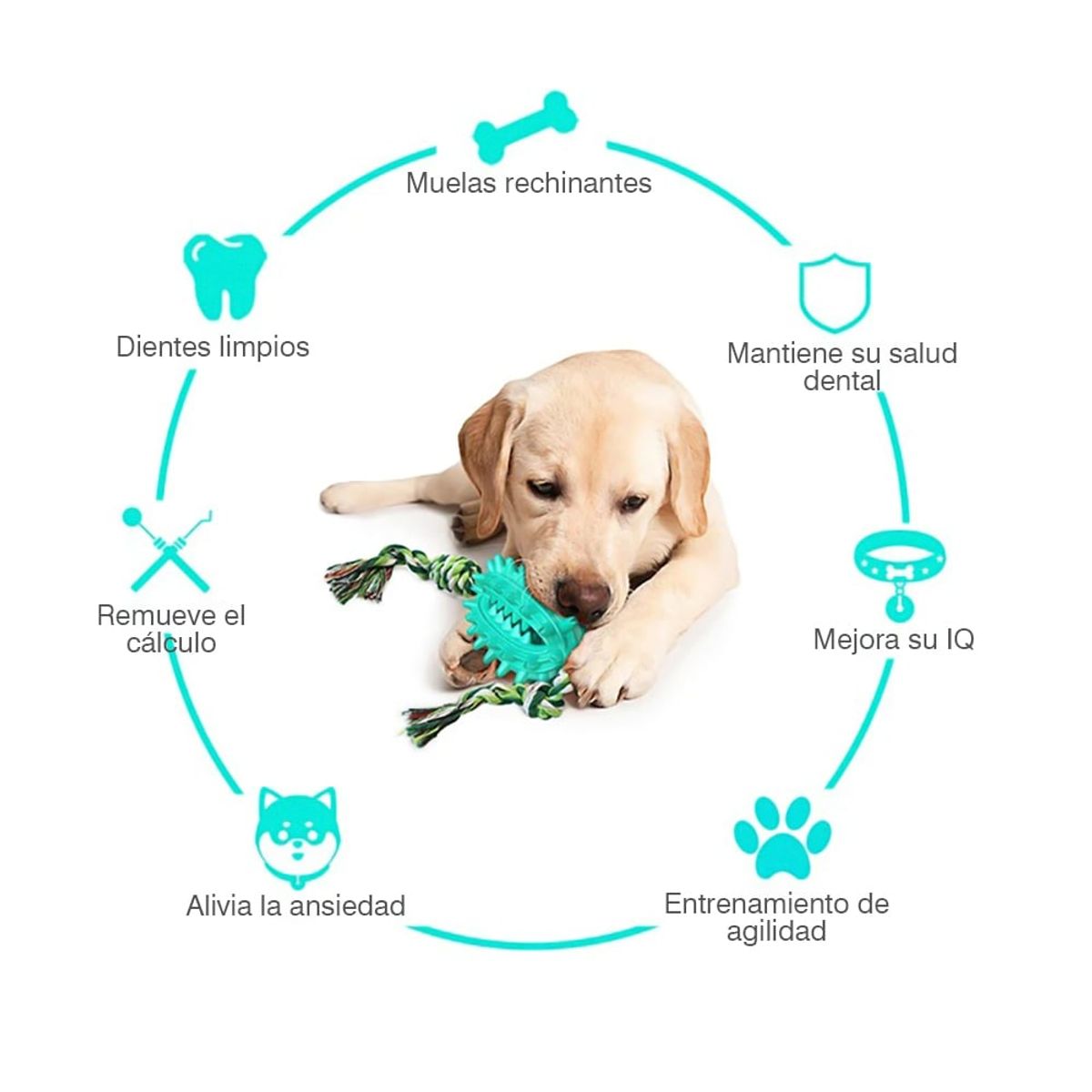 GENERICO - Juguete Para Perro Multifuncional Dispensador-masticable