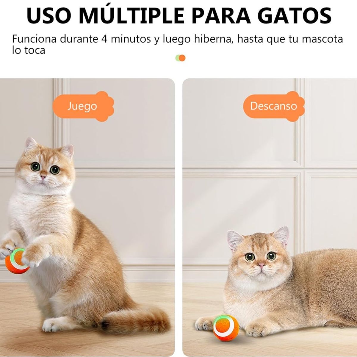 GENERICO - Pelota Inteligente para Gatos Juguete Interactivo Catnip
