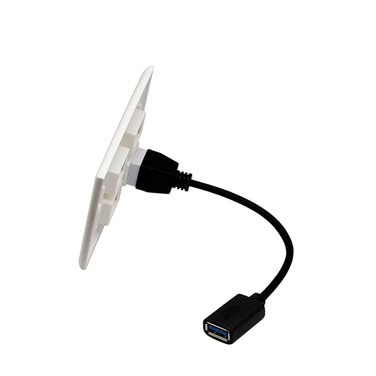 GENERICO - Placa ABS USB 3.0 Faceplate USB 3.0 Hembra 1 Puesto con cable 15cm