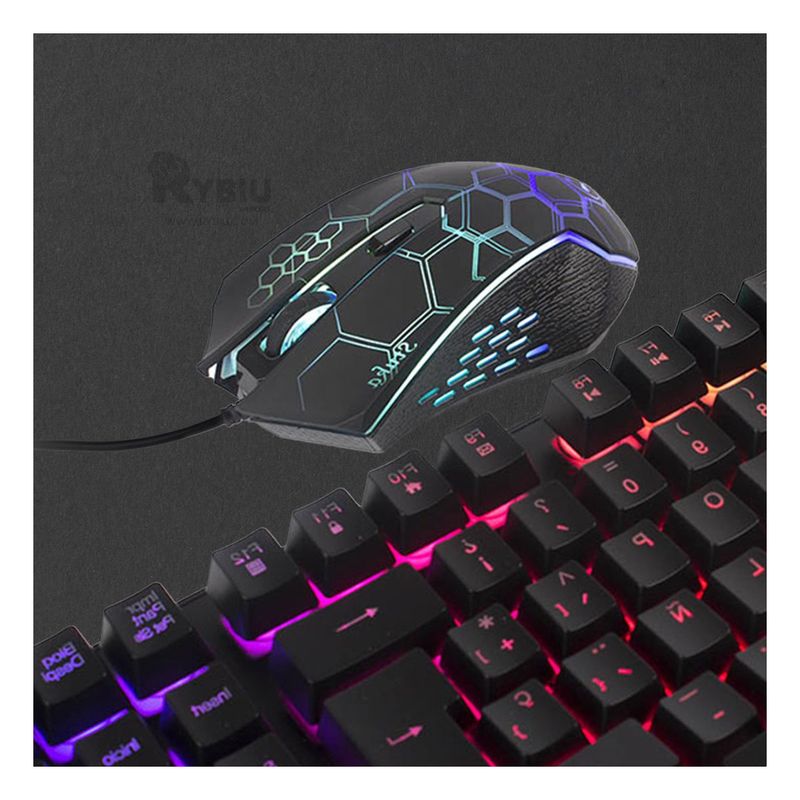 RYBIU IMPORT - Kit de Teclado con Mouse y Luces Modelo HA855C
