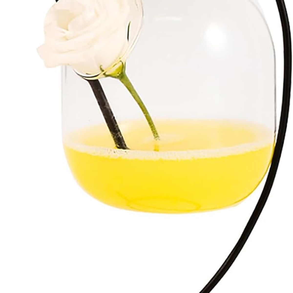 GENERICO - Copa Martini Con Soporte De Hierro