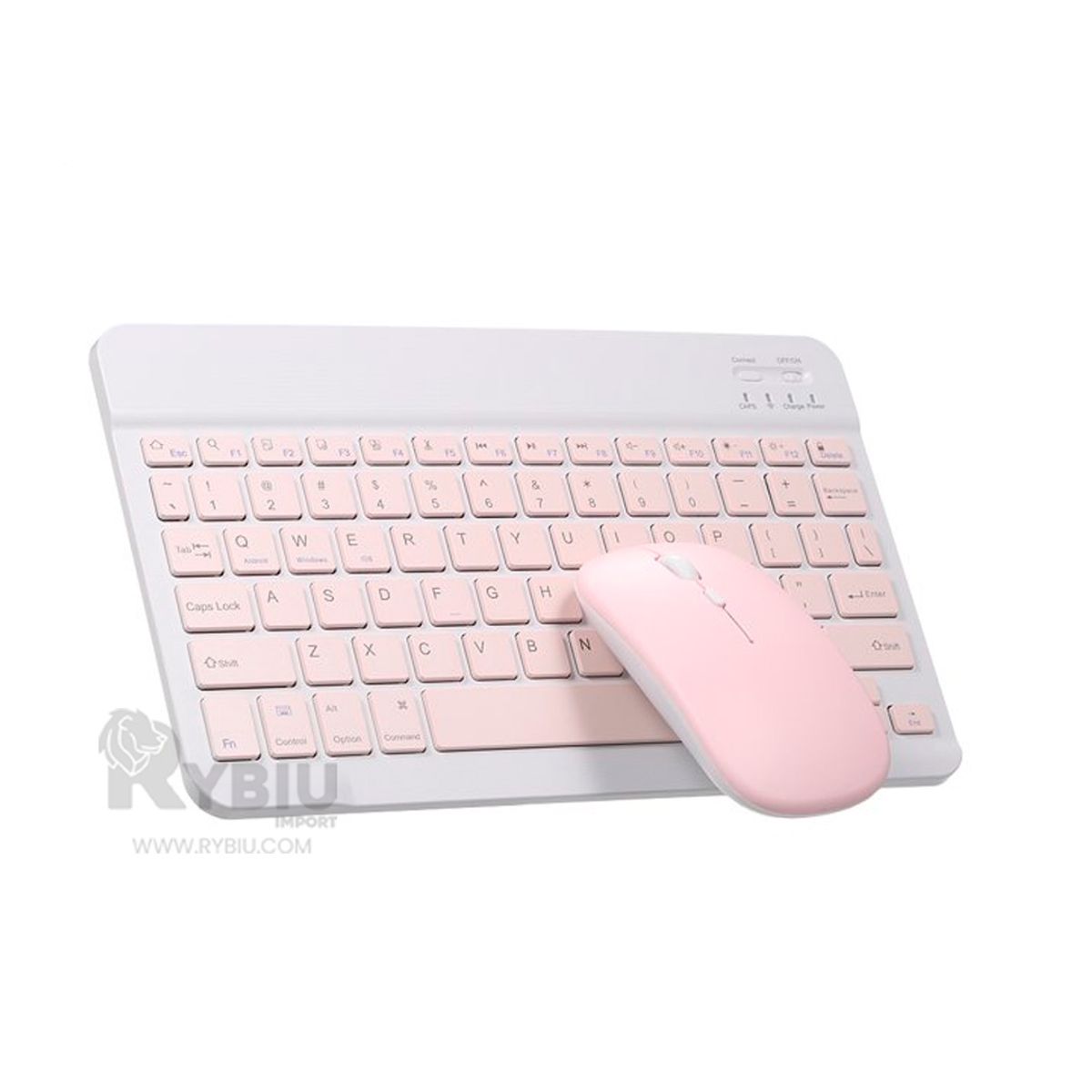 RYBIU IMPORT - Kit Mouse y Keyboard en Color Rosado Y+Papel de Regalo