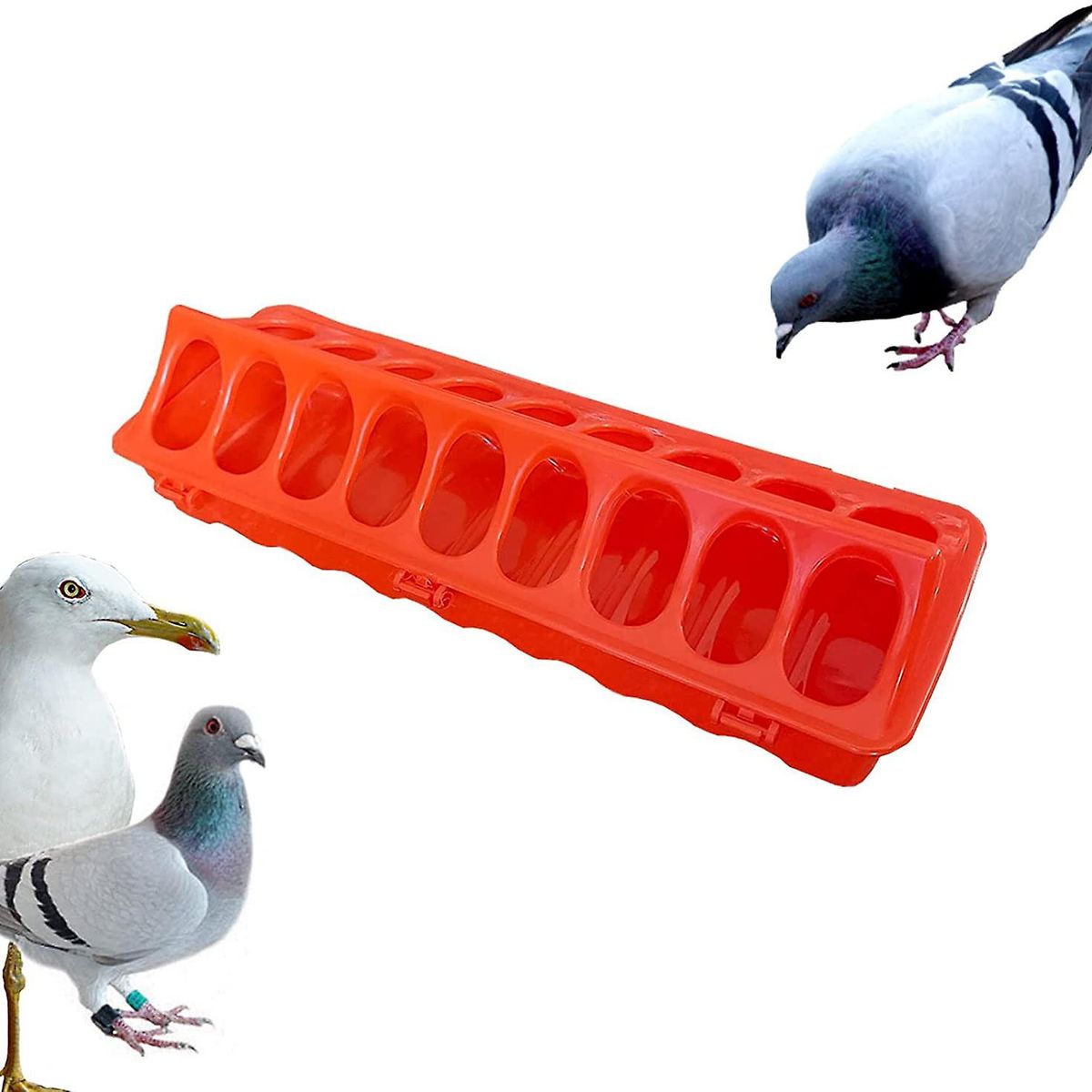 GENERICO - PACK X6 COMEDEROS AVE POLLO 30 CM 18 HUECOS ROJO