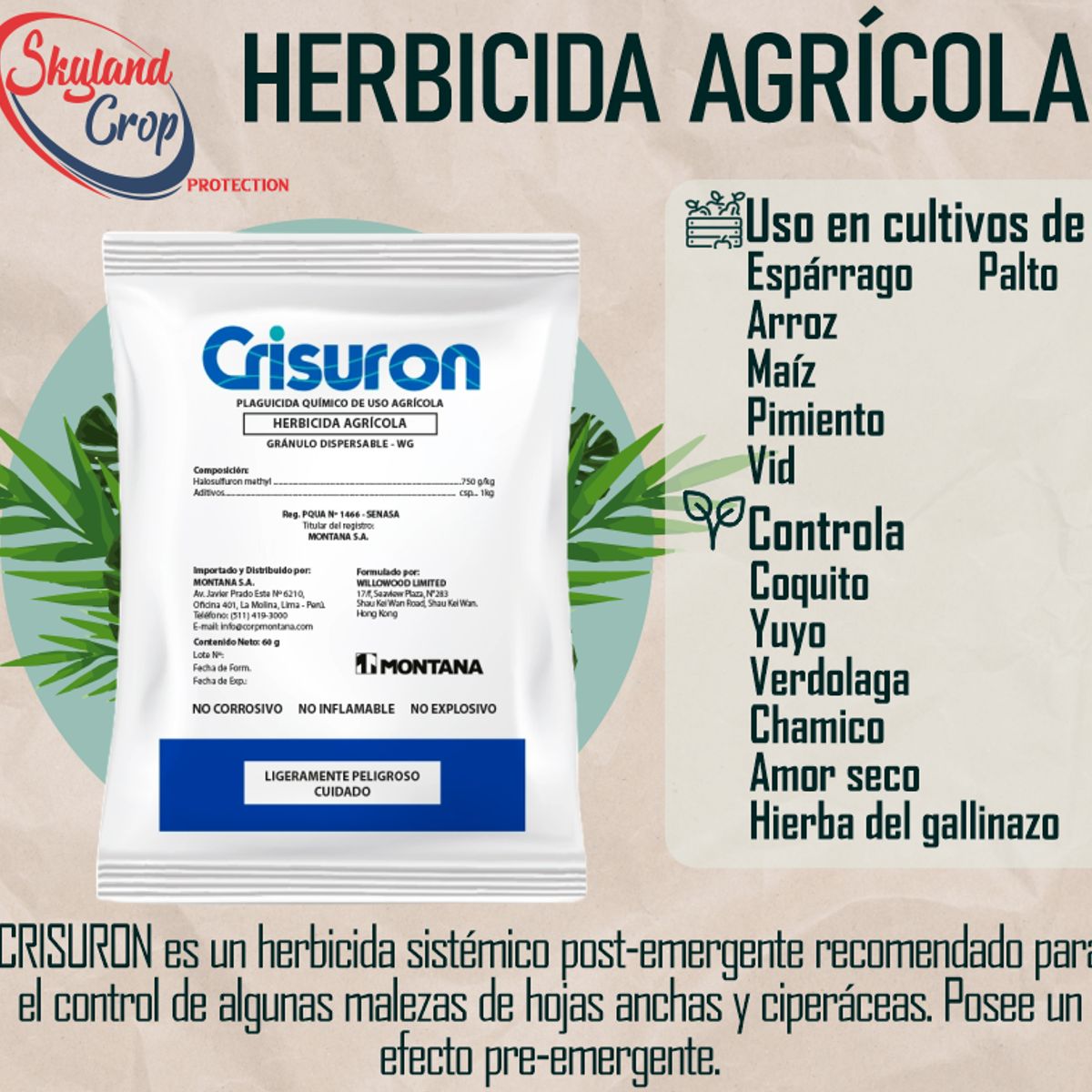 GENERICO - CRISURON 60gr HERBICIDA AGRÍCOLA
