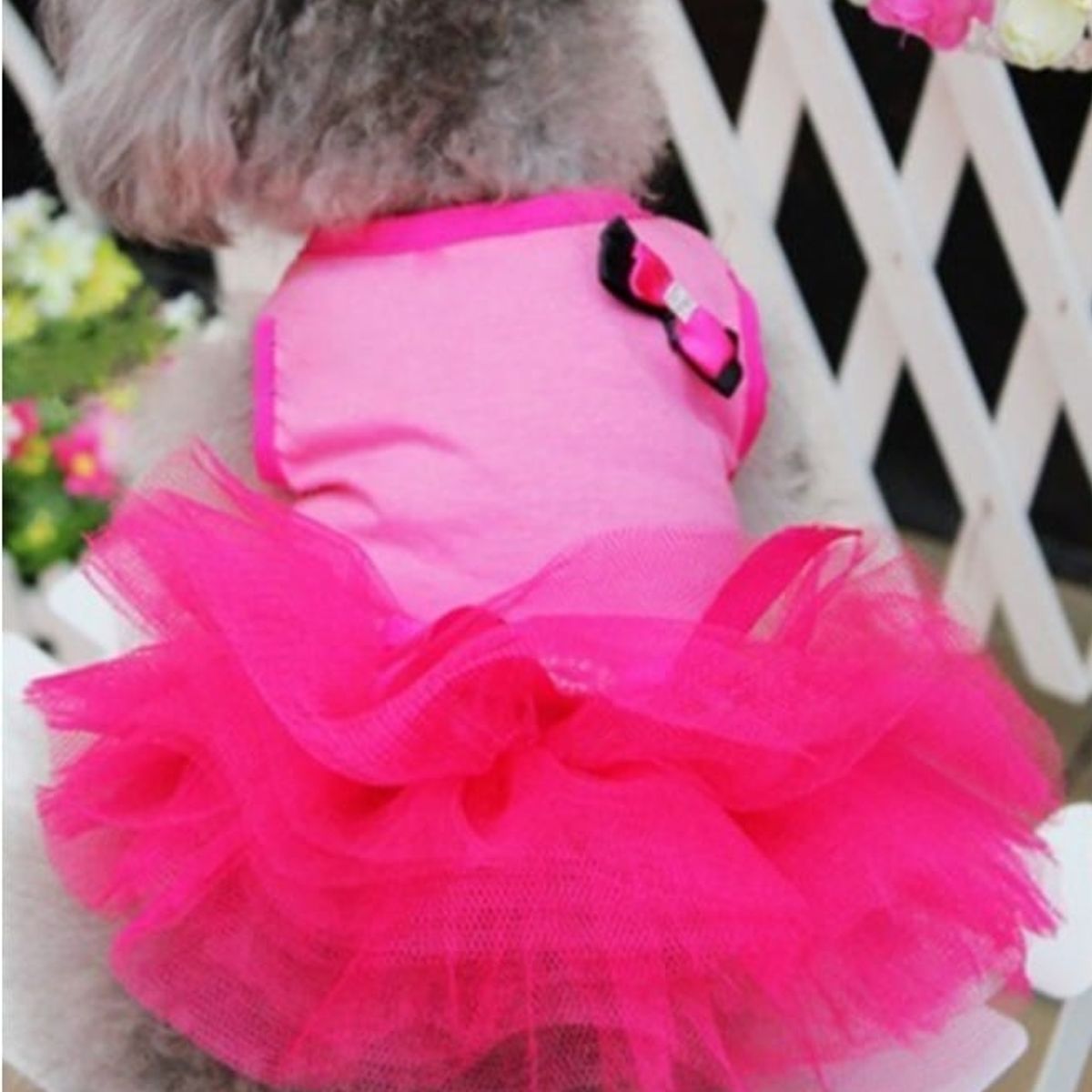 GENERICO - Mascotas vestido fucsia 42cm x 22cm tutu