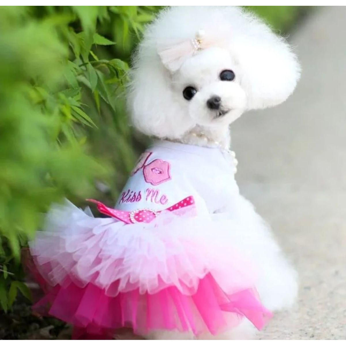 GENERICO - Mascotas vestido Blanco 25cm x 13cm tutu gatito pequeño