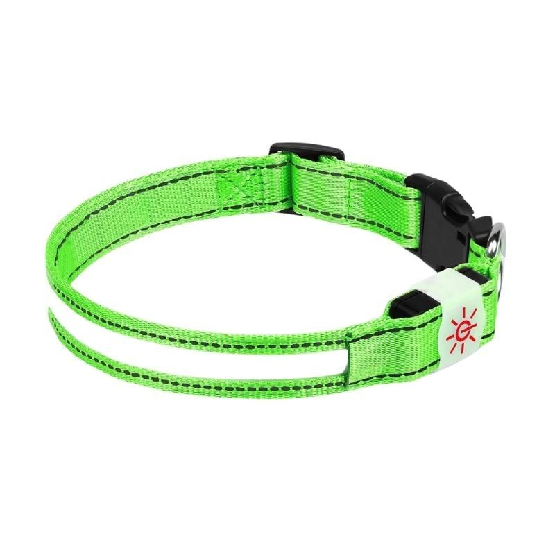 GENERICO - COLLAR DE PERRO LED RECARGABLE USB TALLA M