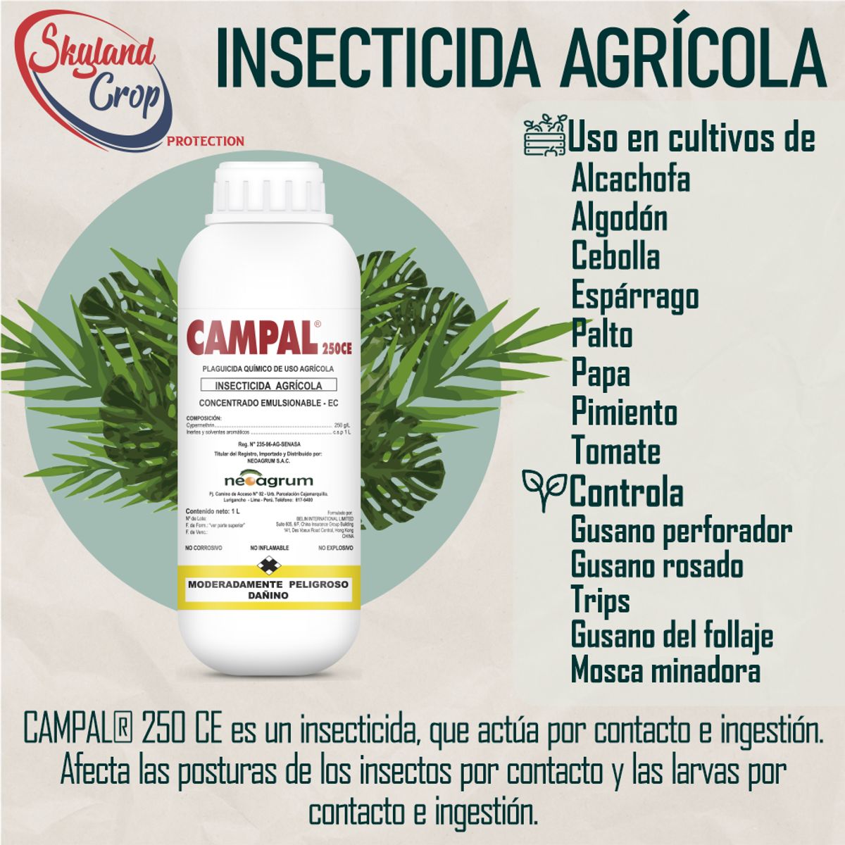 GENERICO - CAMPAL 250CE 1L INSECTICIDA AGRÍCOLA