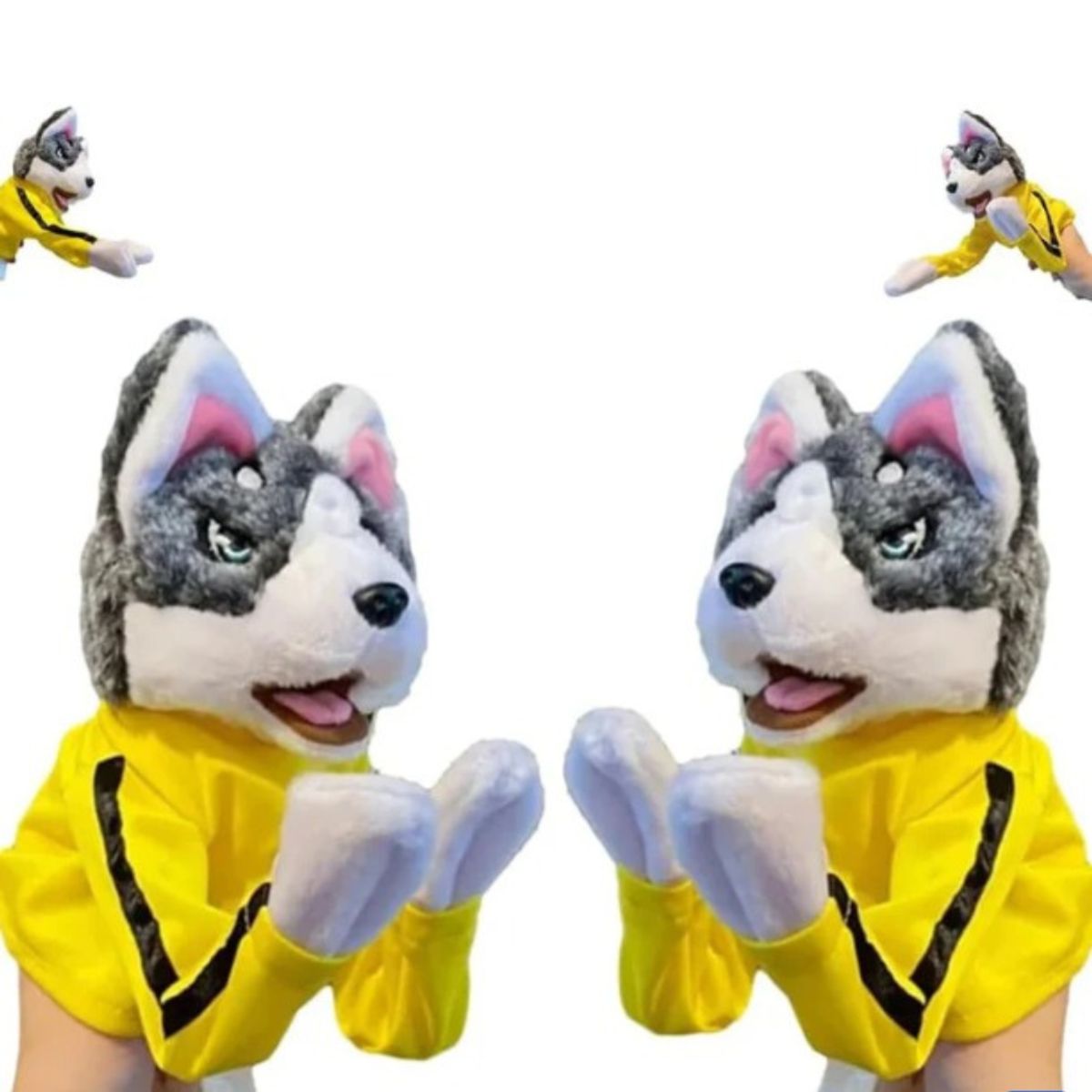 GENERICO - Lobito Boxeador Divertido en Cajita