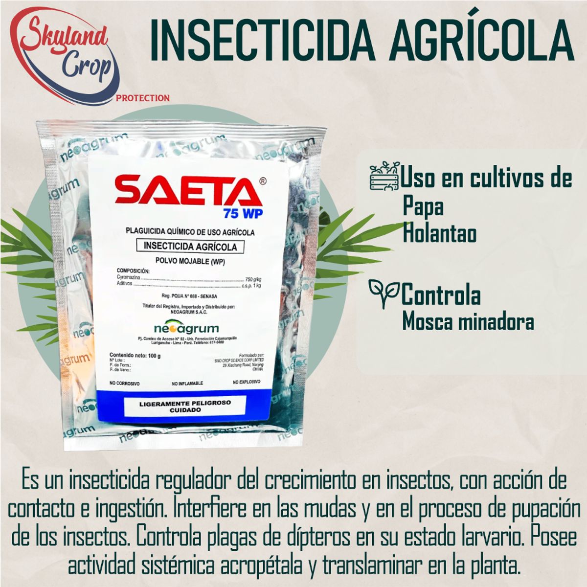 GENERICO - SAETA 75WP 100gr INSECTICIDA AGRÍCOLA