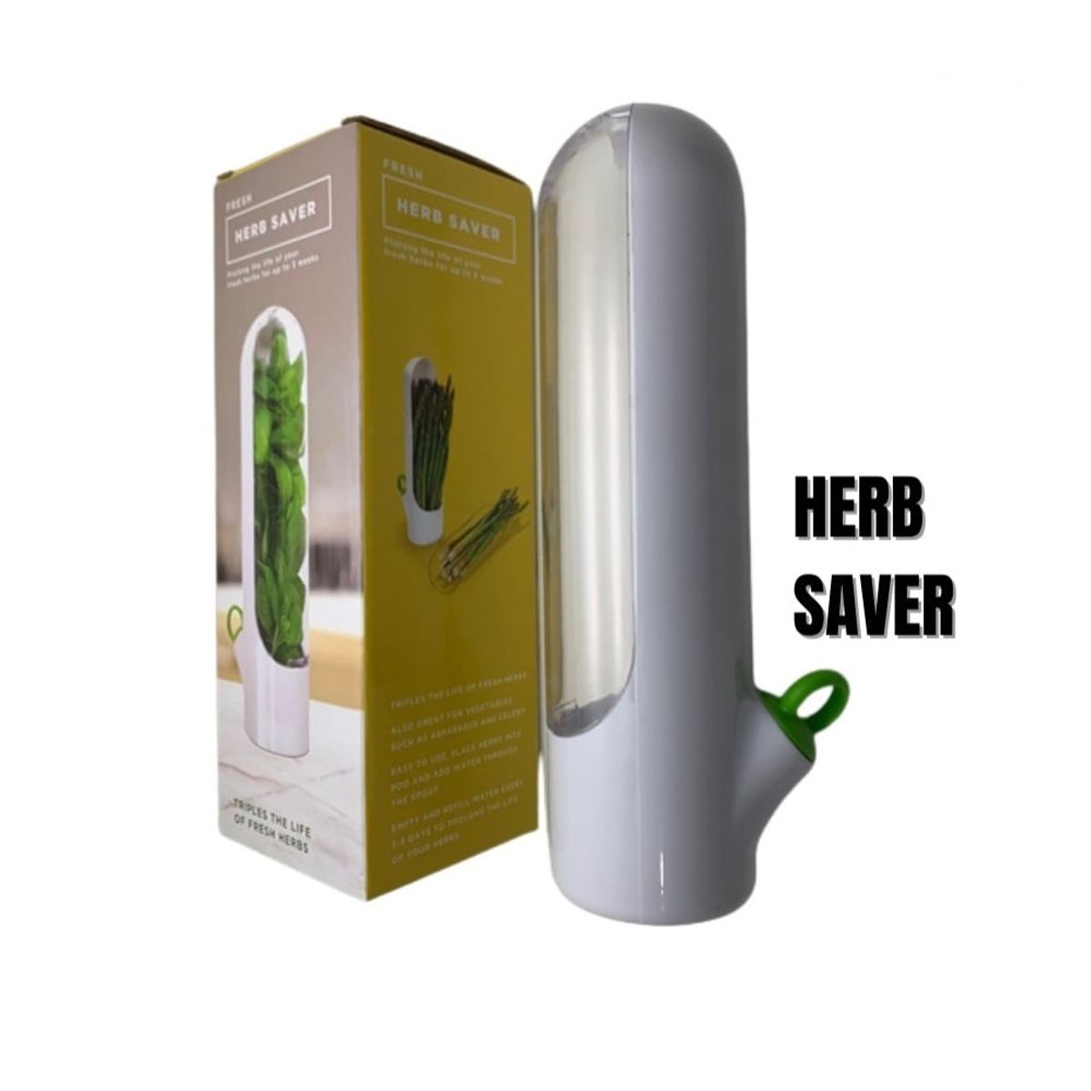 OTTOWARE - Conservador de Verduras o Frutas