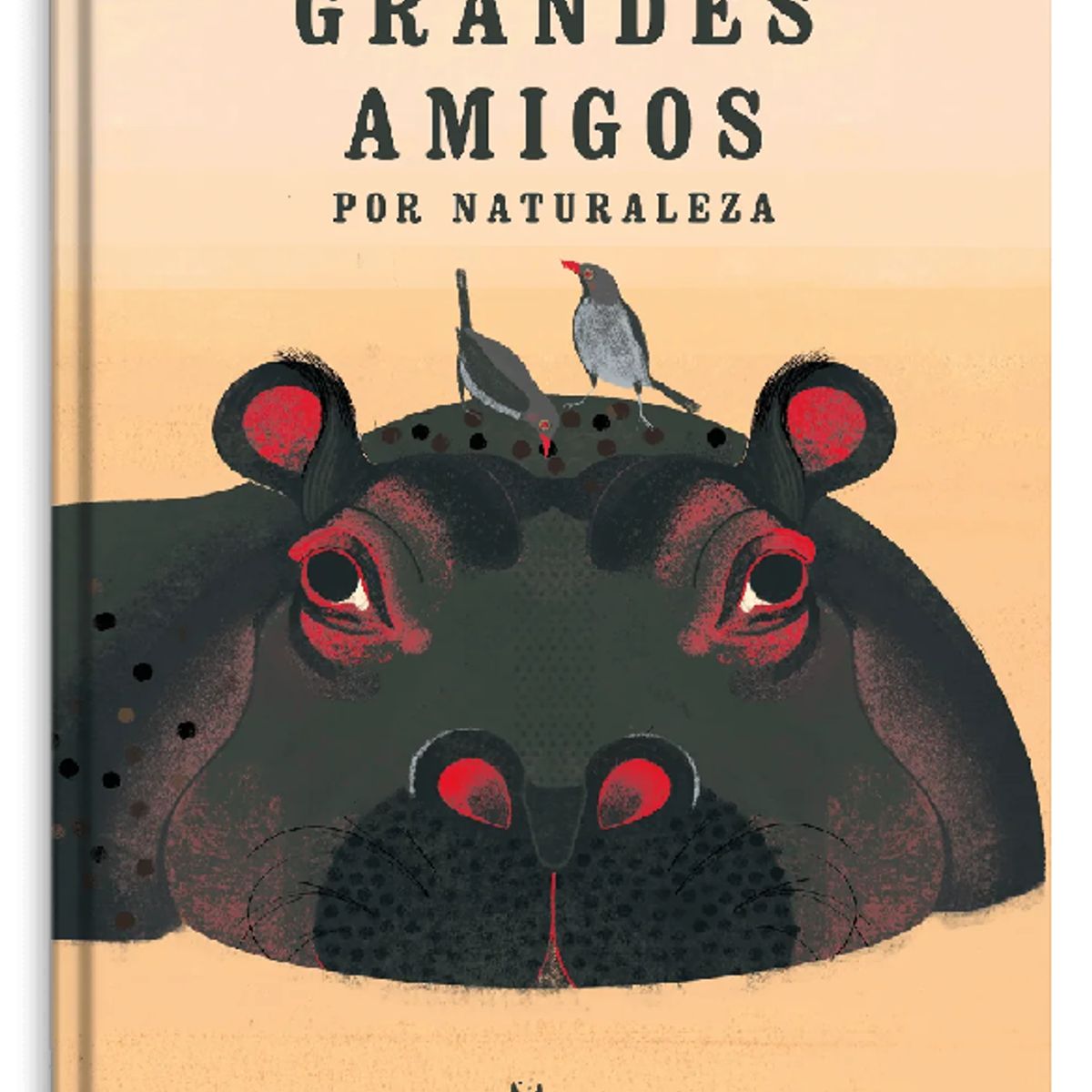 GENERICO - Libro infantil Grandes amigos por naturaleza Simbiosis