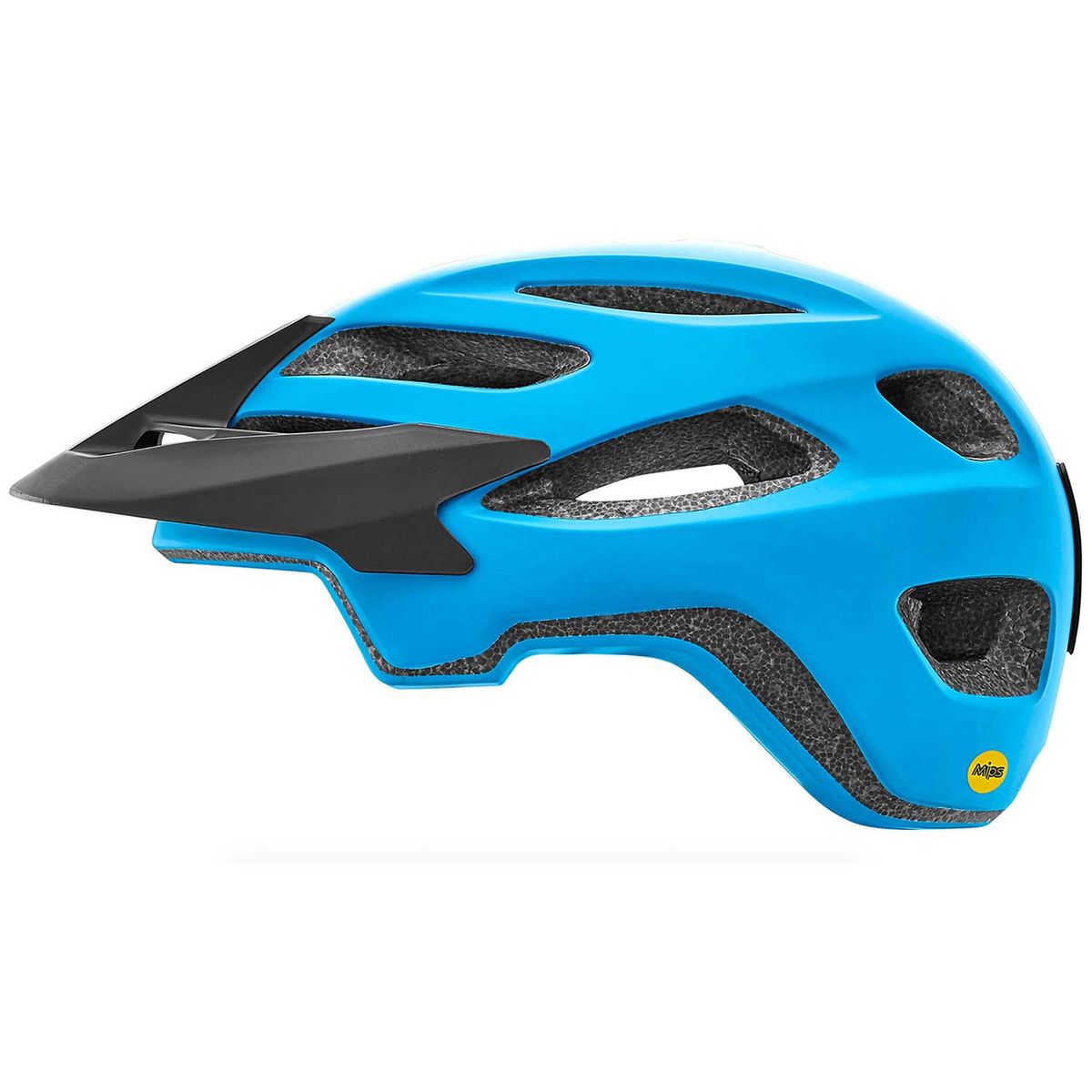 GIANT - CASCO GIANT ROOST MIPS MATTE BLUE TALLA L