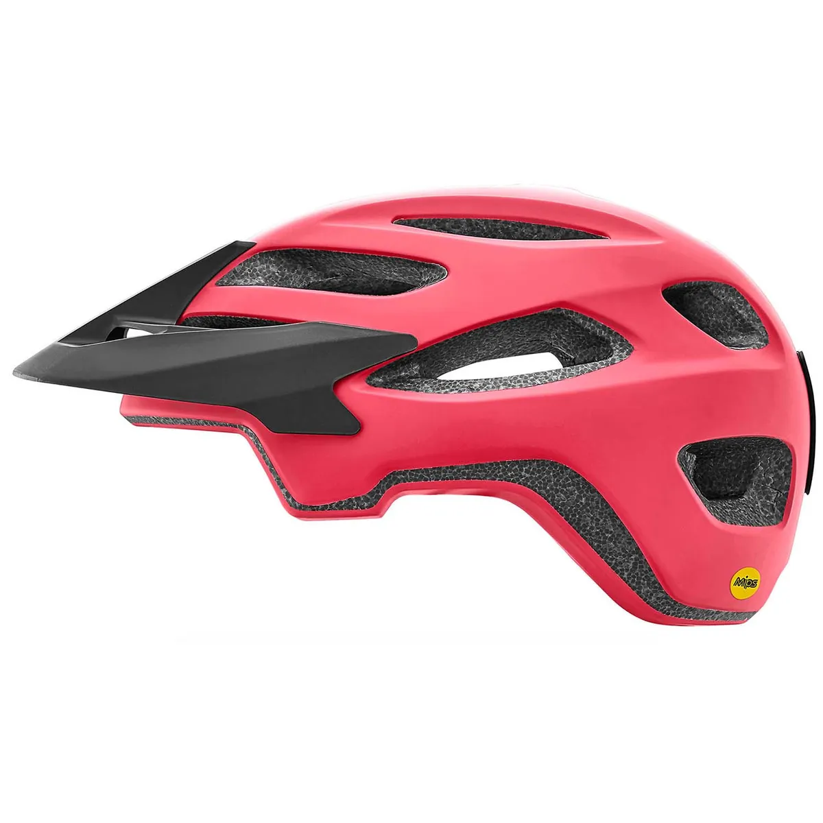 GIANT - CASCO GIANT ROOST MIPS MATTEROJO TALLA L