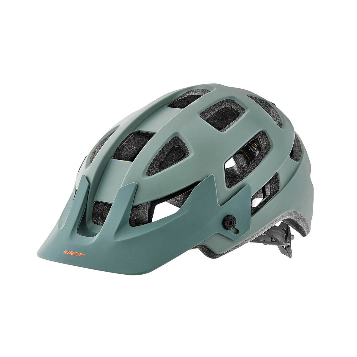GIANT - CASCO GIANT RAIL SX MIPS GRIS TALLA M