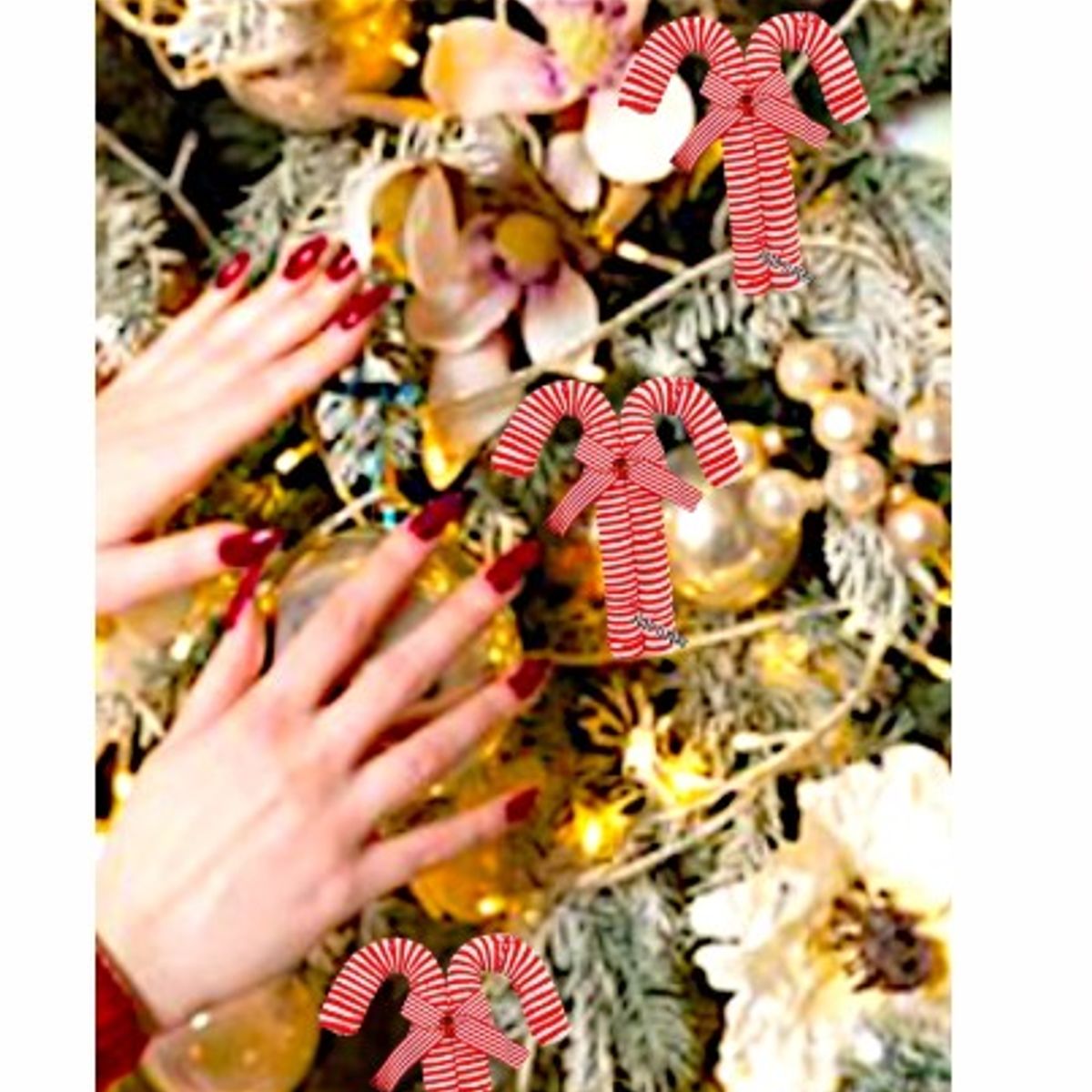 GENERICO - Bastón Navideño  Decorativo  de Calidad 24 cm