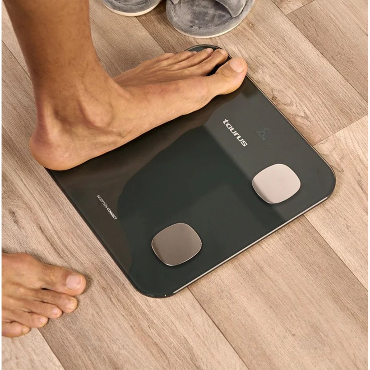 TAURUS - Balanza Taurus Negra de Vidrio INCEPTION CONNECT