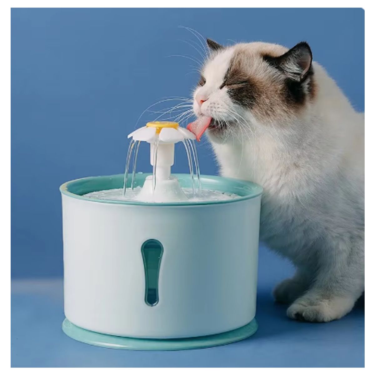 AMICATS - Fuente de Agua Bebedero para Mascotas - PET CELESTE
