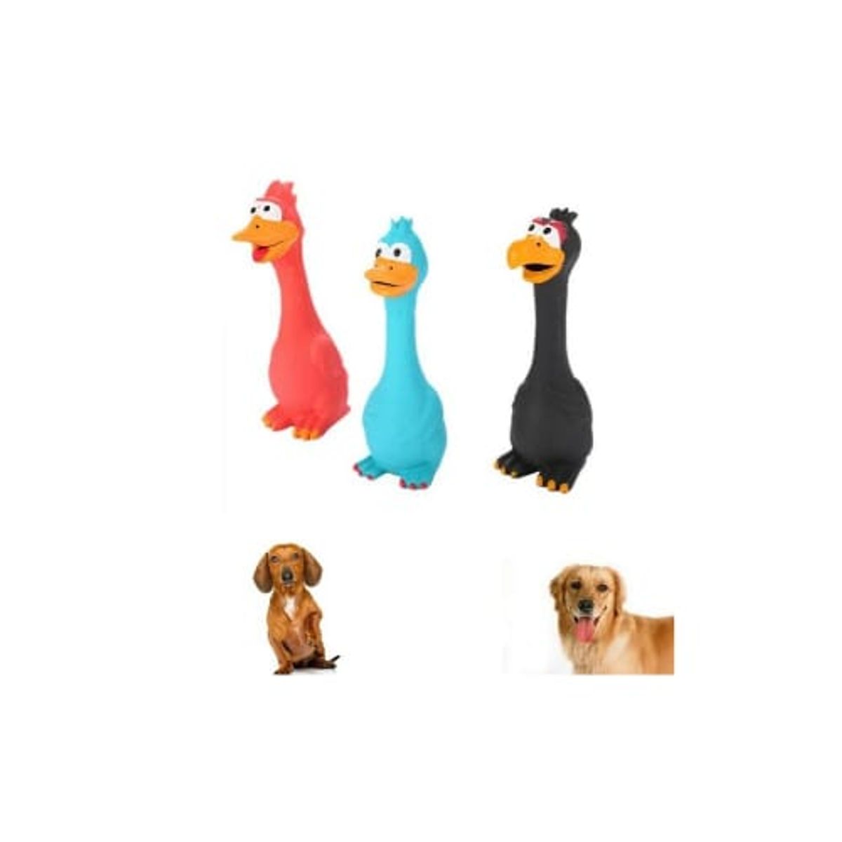 GENERICO - POLLO CHILLÓN DE LATEX