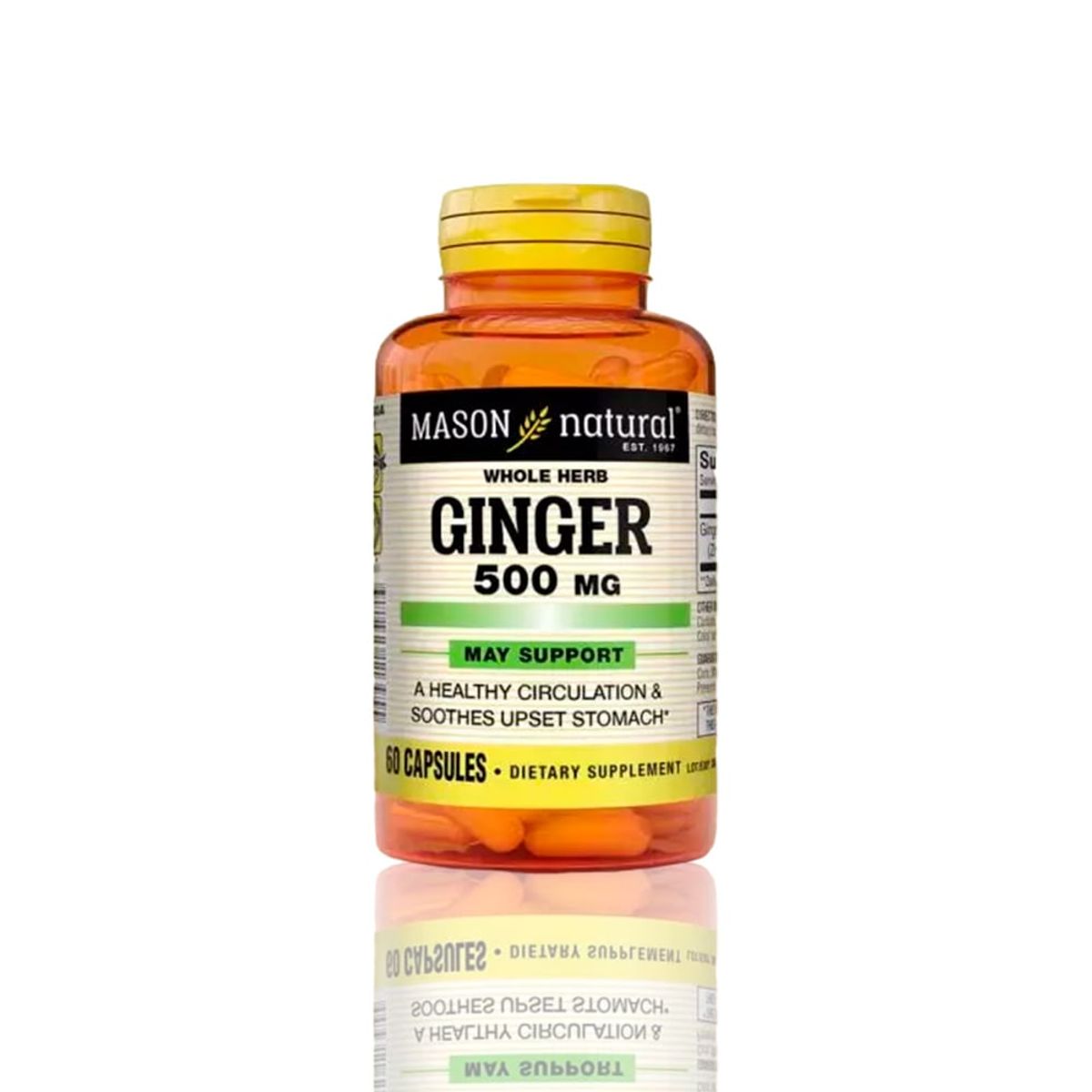 MASON - Vitamina Mason Ginger 500 Mg 60 Cap
