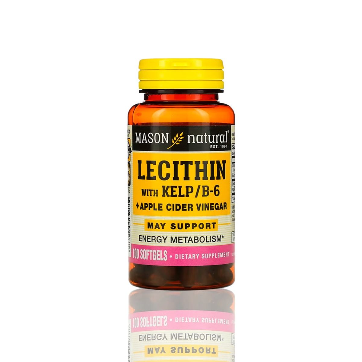 MASON - Lecithin With KelpB6 Plus Apple Cider Vinegar 100 Softg