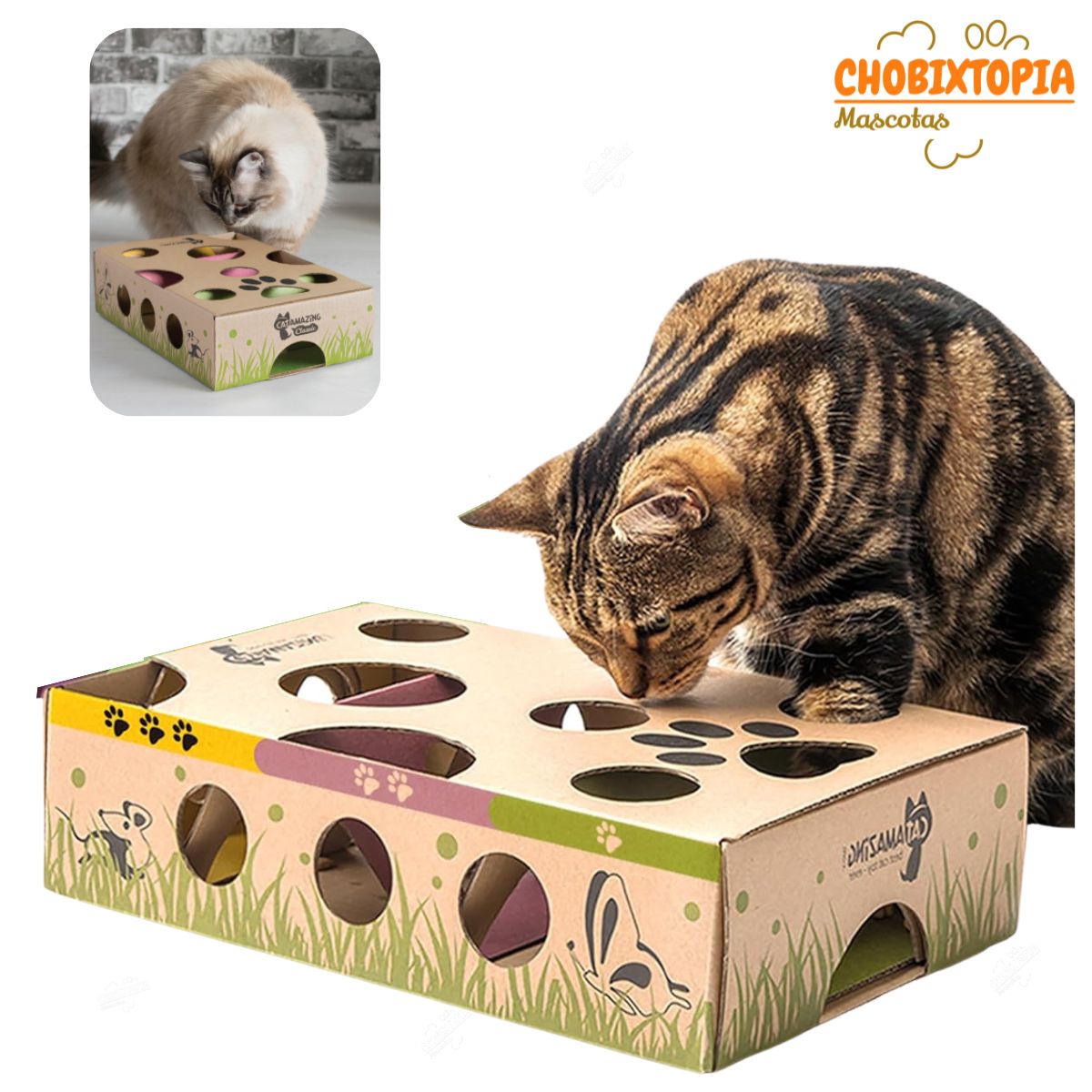 GENERICO - CAJA INTERACTIVA JUGUETE MASCOTA-LABERINTO ROMPECABEZAS Y SNACK GATO
