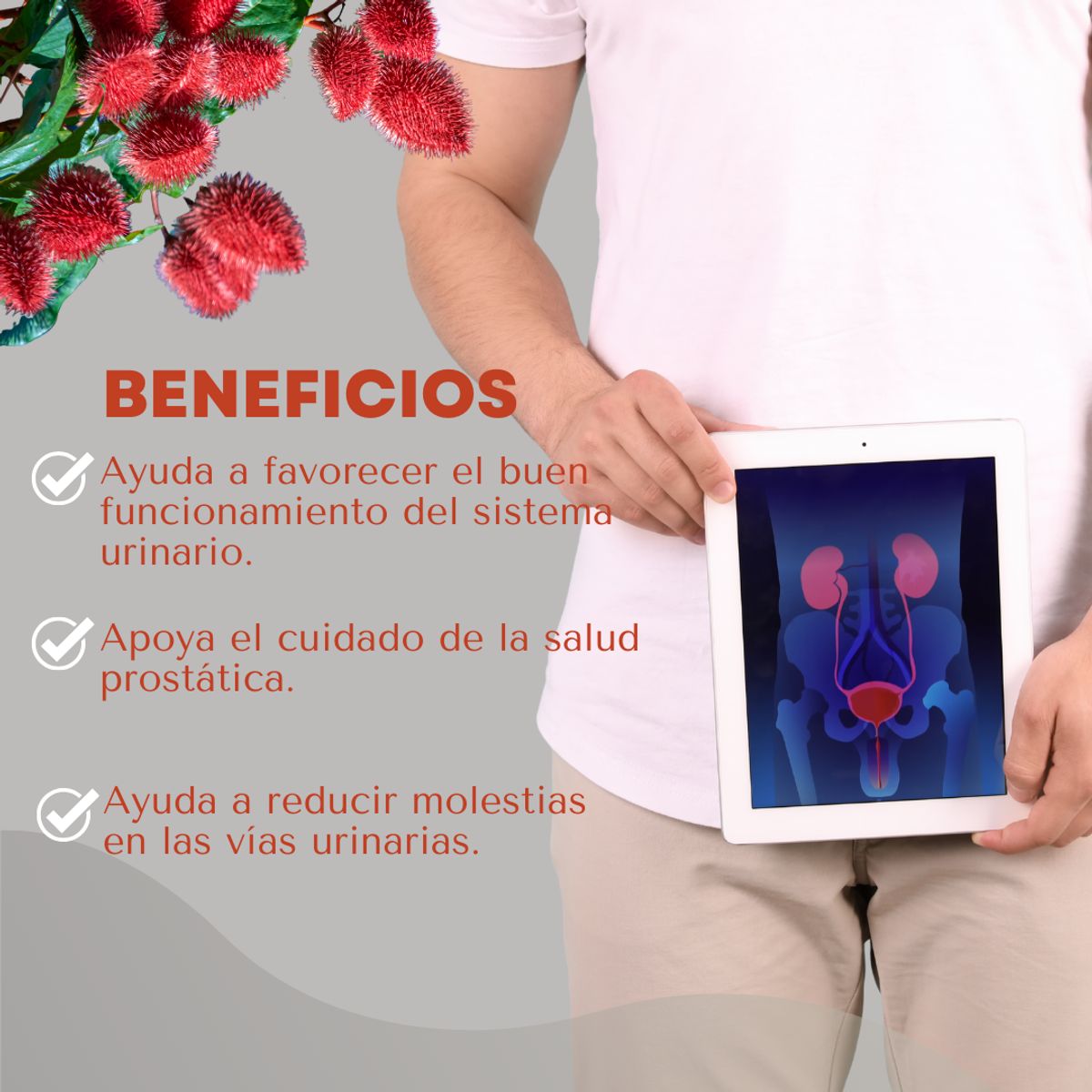 DINOA - Suplemento Achiote de 80gr Dinoa - Salud prostática