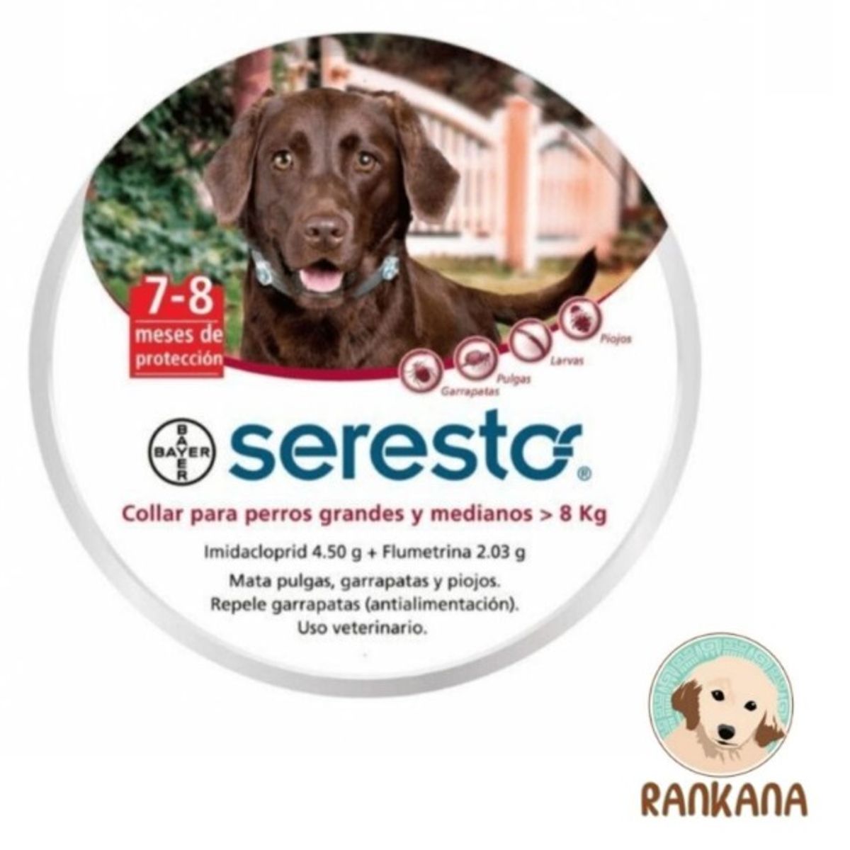 SERESTO - Collar Antipulgas SERESTO de 8 kg a más